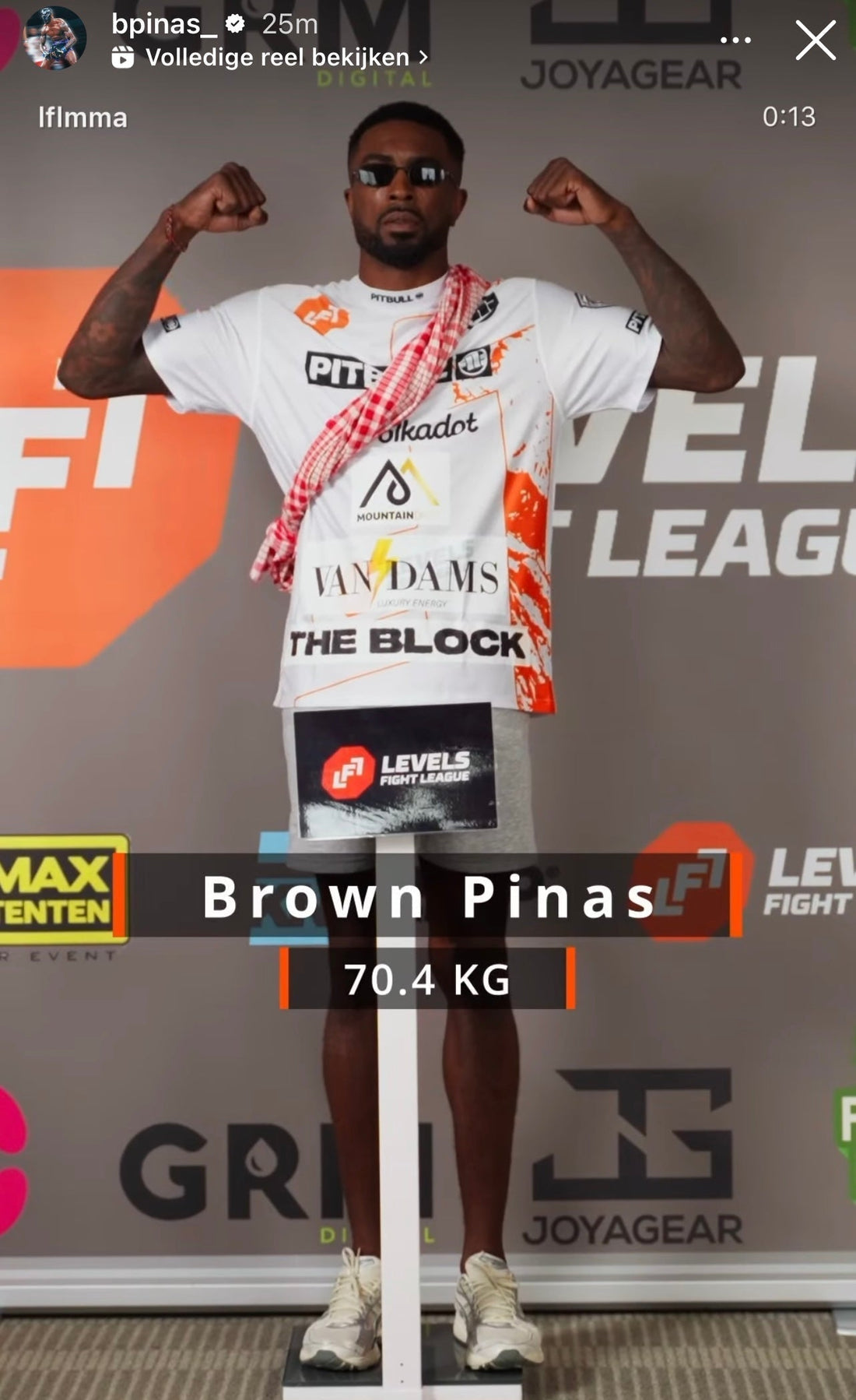 Brown Pinas